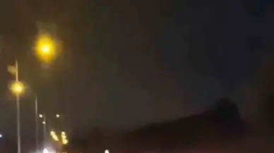 Bursa’da Domuz Sürüsü Ana Yola Atladı