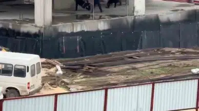 Bursa’da İnşaat Personellerinin Meydan Muharebesi Kamerada