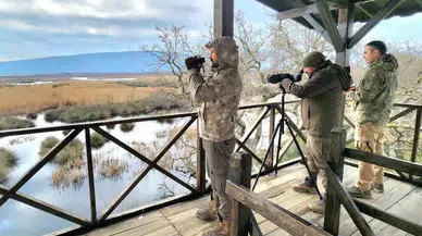 Bursa’daki Su Kuşları Tek Tek Sayıldı