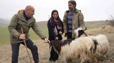 Çobanlık Yapan İki Üniversite Mezunu Emine’nin Hayali Yeni Yılda Gerçek Oldu