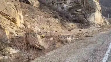 Dağ Keçileri Yol Kenarına İndi