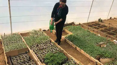 Demet Özdamar: “Permakültürde Üç Etik Kural Var; Dünyayı Gözet, İnsanı Gözet ve Çok Tüketme Üret’’
