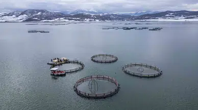 Denize Kıyısı Olmayan Tokat, Dünyanın En Büyük Pazarlarına Somon İhraç Ediyor