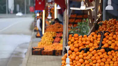 Derepazarı Mandalinasında Hasat Uygun, Satışlar Makus