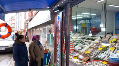 Dev Balık İlgi Çekti