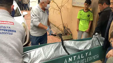 Diş Doktoru Başından Silahla Vurulmuş Halde Meyyit Bulundu