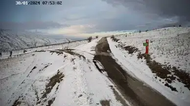 Elazığ’da Aç Kalan Kurtlar Köye İndi
