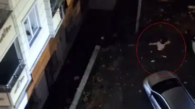Esenyurt’ta Komşuların Konut Taşlamalı Hengamesine Polis Müdahalesi