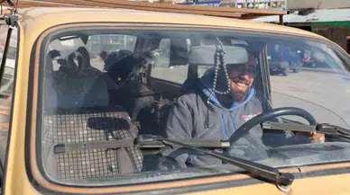 Gezen Tavuk Olsun Diye Tavuklarını Arabayla Gezdiriyor