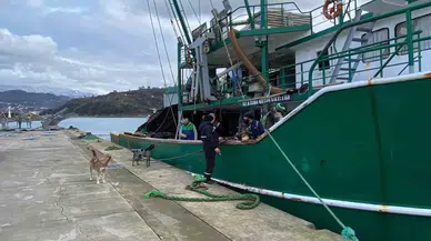 Gürcü Karasularından Türk Karasularına Giren Hamsi Balıkçıların Yüzünü Güldürdü