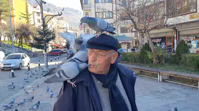 Güvercinleri Ağzıyla Besliyor