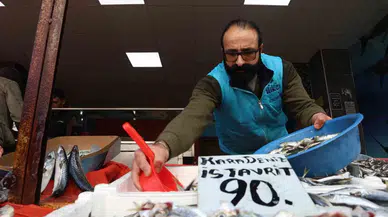 Havalar Soğudu, Balığa Olan İlgi Arttı