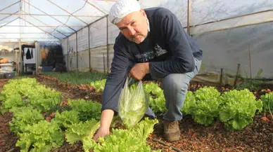 Hobi İçin Başladı, Ek Gelir Kapısı Oldu