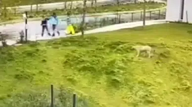 İbb Arıtma Tesisi’nde İşlenen Vahim Cinayetin Manzarası Ortaya Çıktı