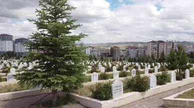 İstanbul Belediyesinde 69 Bin TL, Sivas Belediyesinde Ücretsiz