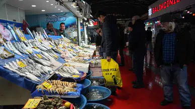 İstanbul’da Beklenen Kar Yağışıyla Birlikte Balık Fiyatlarının Düşmesi Bekleniyor