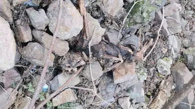 İzmir Tarihi Asansör Yakınında İnsan Kemikleri Bulundu