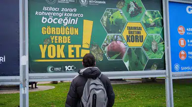 Kahverengi Kokarcayla Gayret Billboardlarda: “Gördüğün Yerde Yok Et”