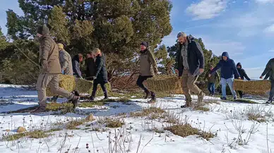 Kar Altındaki Spil’de Yaban Hayatı Unutulmadı