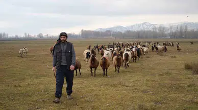 Kar Yağmaması Besicilere Tasarruf Sağlıyor