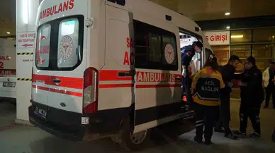 Kırıkkale’de Başıboş Köpek Dehşeti: Atağa Uğrayan Vatandaş Yaralandı