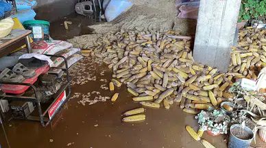 Kırklareli’nde Şiddetli Yağışın Akabinde Otomobiller, Meskenler Ziyan Gördü