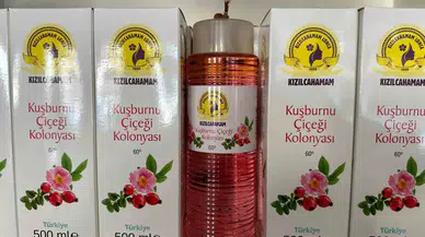 Kızılcahamam’da Çamdan Sonra Kuşburnunun da Kolonyası Yapıldı