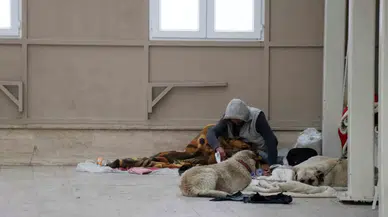 Köpekleriyle Şadırvanı Mesken Tuttu, Cami Cemaati Abdest Alamaz Oldu
