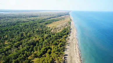 Lider Kılıç: "Terme Karadeniz’in Gözdesi Olacak"