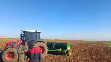 Mardin Ovası’nda Buğday Ekimi Başladı