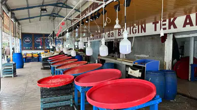 Marmara’da Hava Bozdu, Balık Fiyatları Fırladı