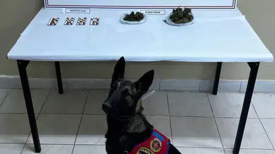 Narkotik Köpeği ile Arama Yapılan Araçta Uyuşturucu Ele Geçirildi