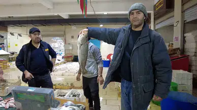 Ocak Ayında Tezgahlarda Levrek Rahmeti