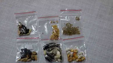 Ömrünün Kalanını Bu İşe Adadı