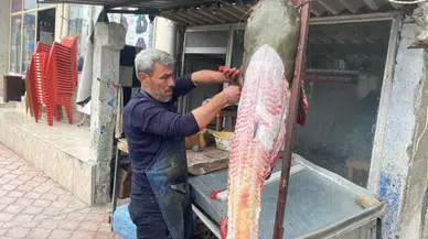 Osmaniyeli Balıkçıya 37 Bin TL’lik Yayın Balığı Piyangosu