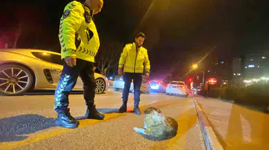 Polisin İçleri Isıtan Sokak Köpeği Nöbeti