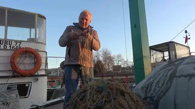 Rotayı Marmara’ya Çeviren Balon Balığı Balıkçıları Endişelendirdi