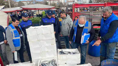 Sincan’da Zabıta Takımları Balık Kontrolünde