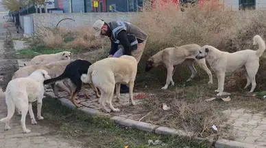 Sokak Hayvanlarının Can Dostu Haydi Polisleri: Onlarcasını Elleriyle Beslediler