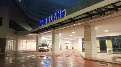 Sokak Köpeğinin Saldırısına Uğrayan Çocuk Vefattan Döndü