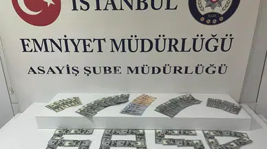 Sultangazi’de Yaşlı Adama Tekme Atıp, 14 Bin Dolarını Gasp Eden Kuşkulu Kamerada