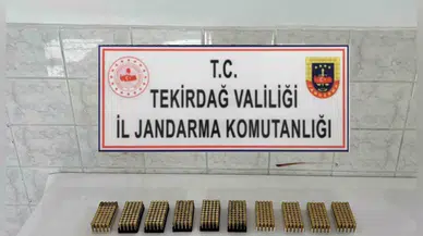 Tabanca ve 500’den Fazla Mermi Ele Geçirildi