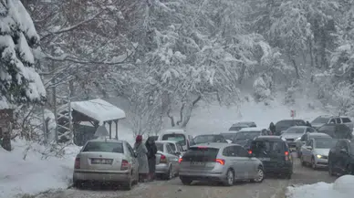 Tabiat Olağanüstüsünü Görmek İstediler: Trafik Kilitlendi