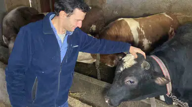 Üniversite Mezunu Genç Köye Yerleşip Besici Oldu