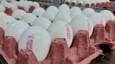 Üreticiler Yumurta Fiyatlarının Yükselmesinden Aracıları Sorumlu Tuttu