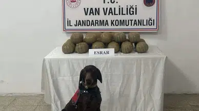 Van’da 50 Kişi Yakalandı