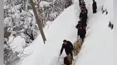 Vatandaşlar Sürü ile Birlikte Kuzuları Kucaklarında Taşıdılar