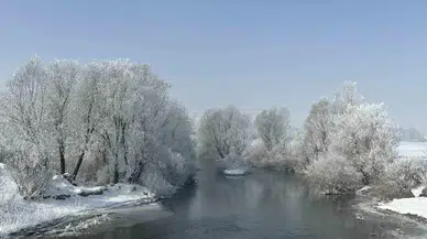 Yüksekova’da Ağaçlar Kırağı Tuttu