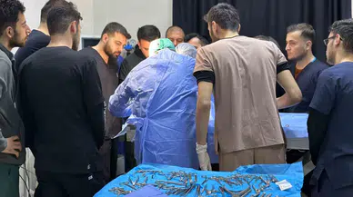 8 Santimlik Taş Beşerden Değil, 10 Yaşındaki ‘Fındık’ İsimli Köpekten Çıktı