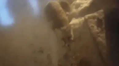 Aç Kalan Tilki Konutun Kapısında Yiyecek Aradı